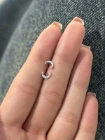گلگوش نقره ماه نگین دار - تصویر 2