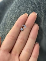 گلگوش نقره ماه و ستاره - تصویر 2
