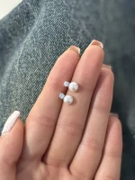 گلگوش نقره مروارید - تصویر 2