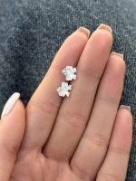 گلگوش نقره پاپیون - تصویر 2