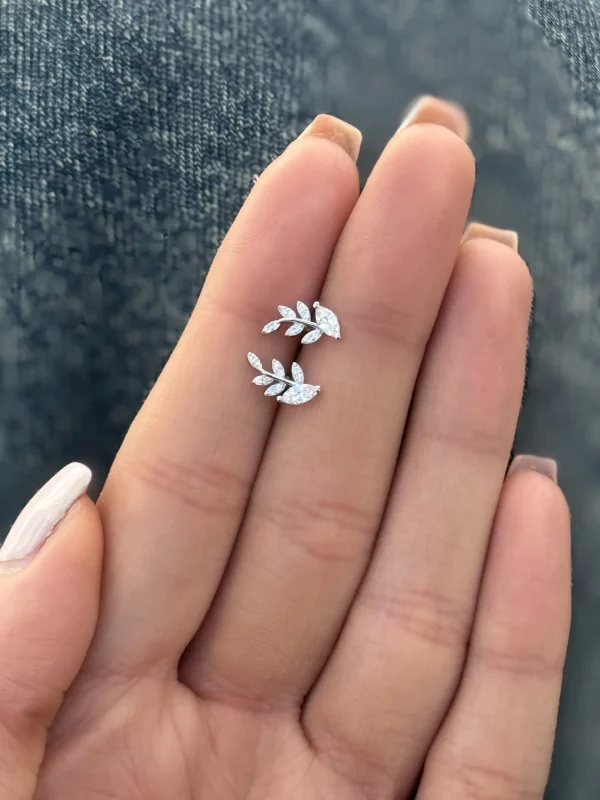 گلگوش نقره شاخه - تصویر 2