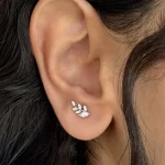 گلگوش نقره شاخه