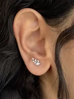 گلگوش نقره شاخه