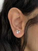 گلگوش نقره گل اوپال