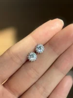 گلگوش نقره نیلای - تصویر 2